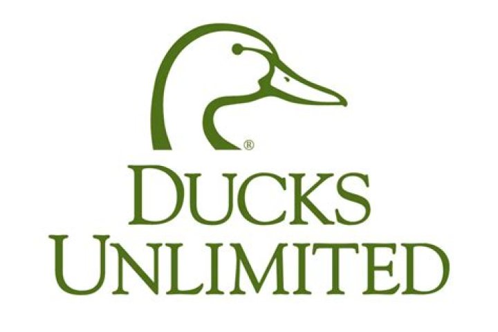 What is ducks unlimited?