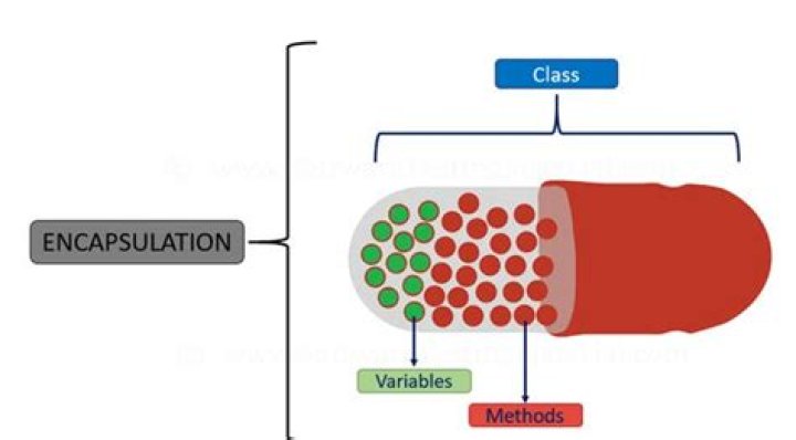 What is encapsulation in oops?