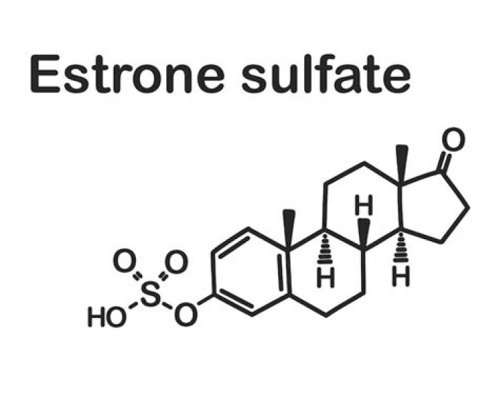 What is estrone sulfate?