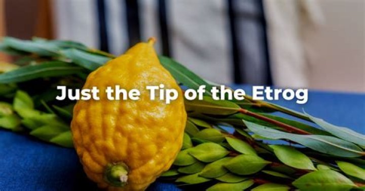 What is etrog citron?