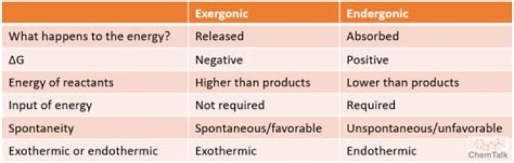 What is exergonic and endergonic?