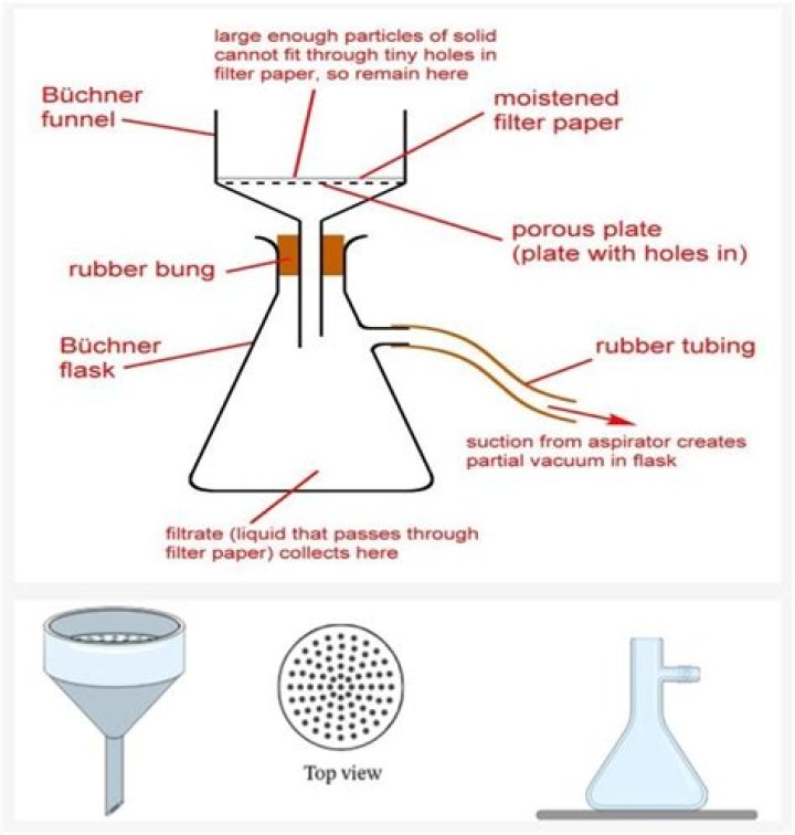 What is filtration in biology?