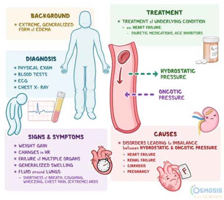 What is gastrorrhagia in medical terms?