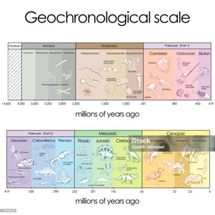 What is geochronological units?