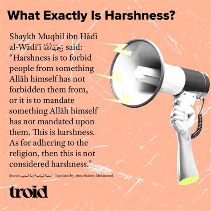 What is harshness definition?