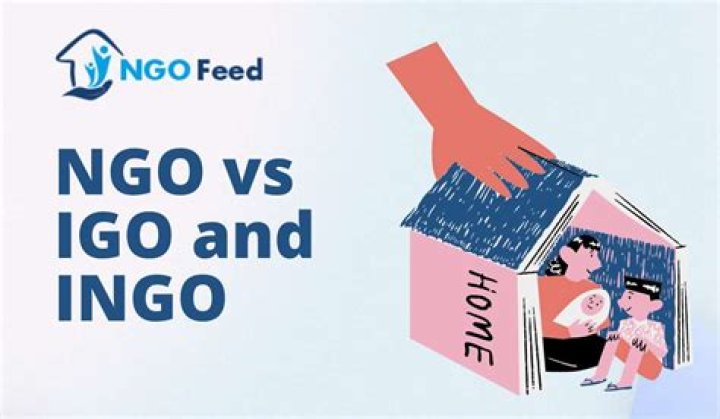 What is igo and ngo?