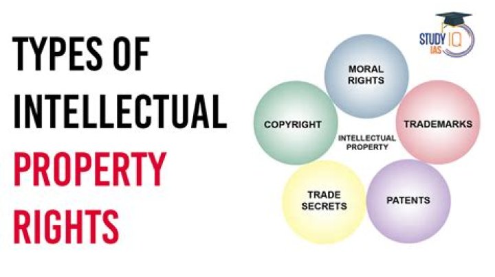 What is intellectual property rights?
