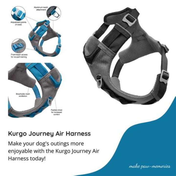 What is kurgo harness?