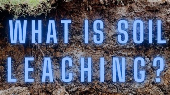 What is leaching give an example of leached soil?