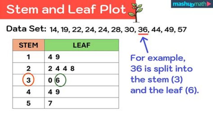 What is leaf lard mean?