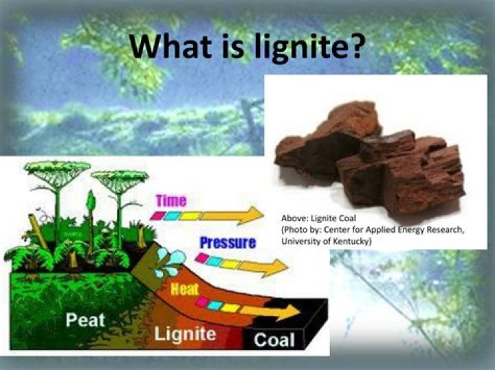 What is lignite used for?