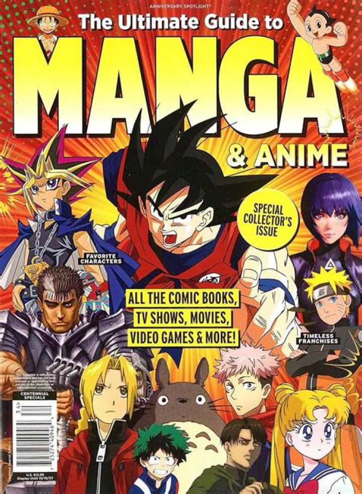 What is manga reader?