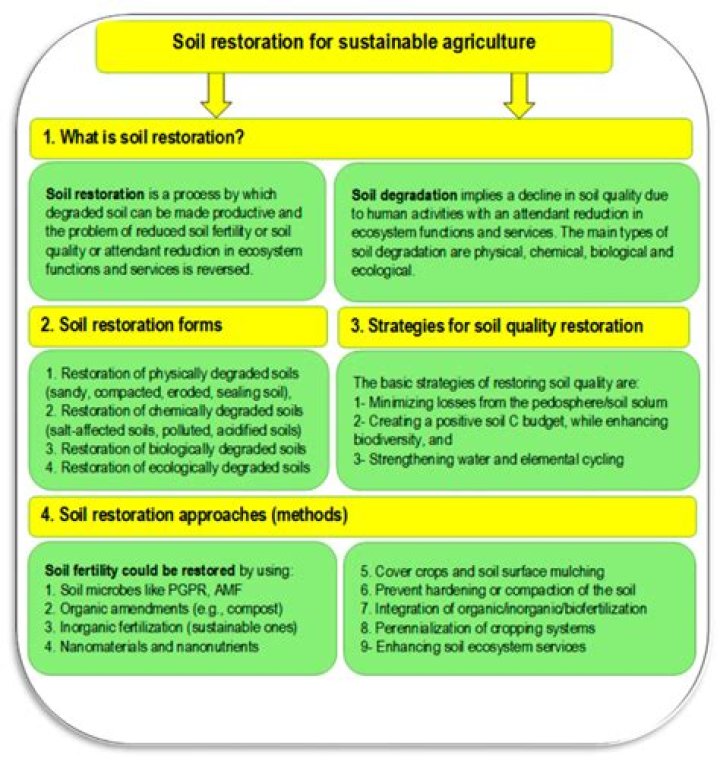 What is meant by foreworld?