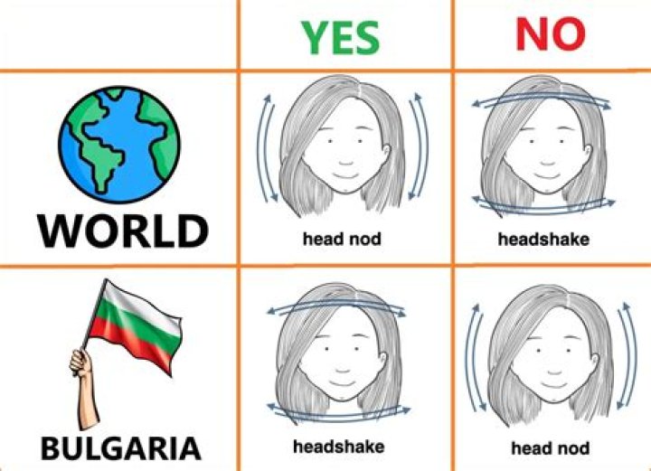 What is meant by headshake?