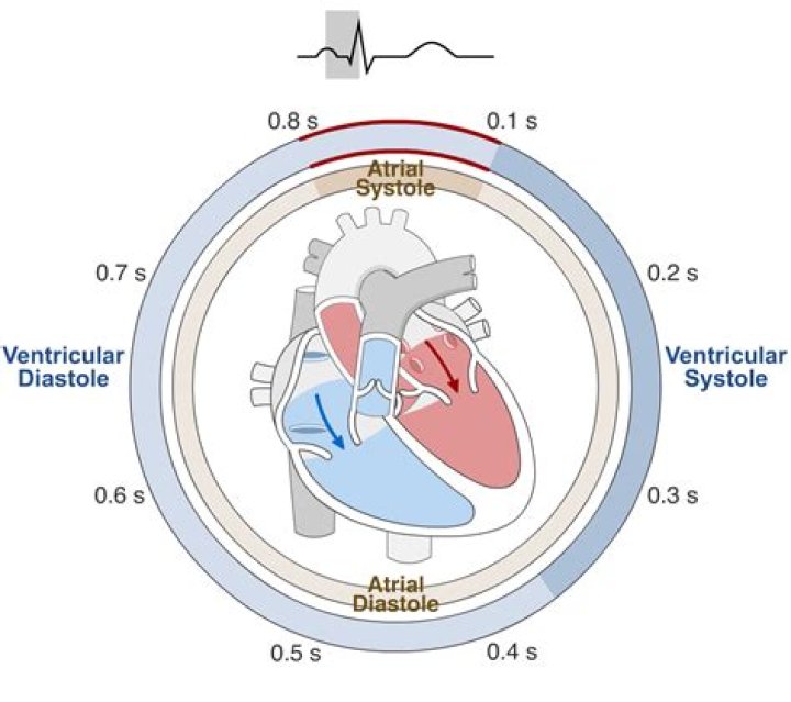 What is meant by martially?