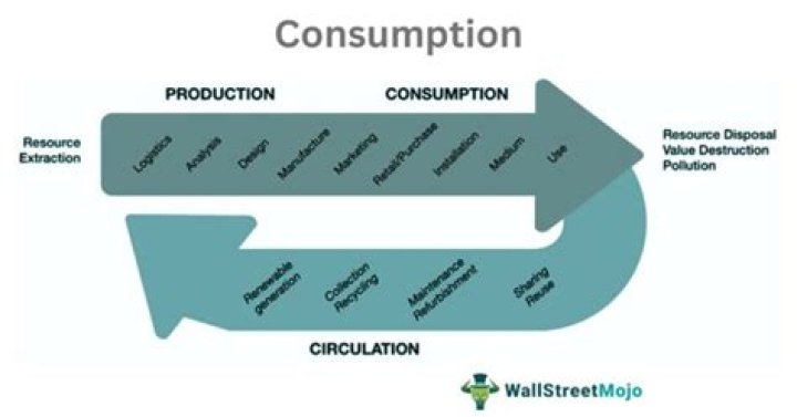 What is meant self-consumption?