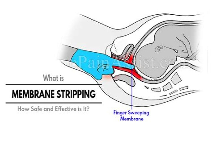 What is membranes stripped?
