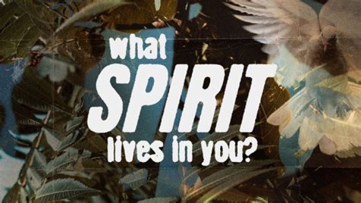 What is mobocratic spirit?