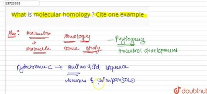What is molecular homology?