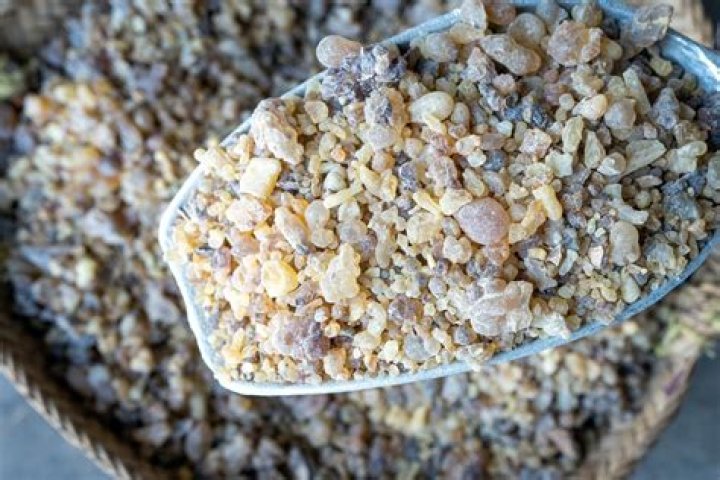 What is olibanum used for?