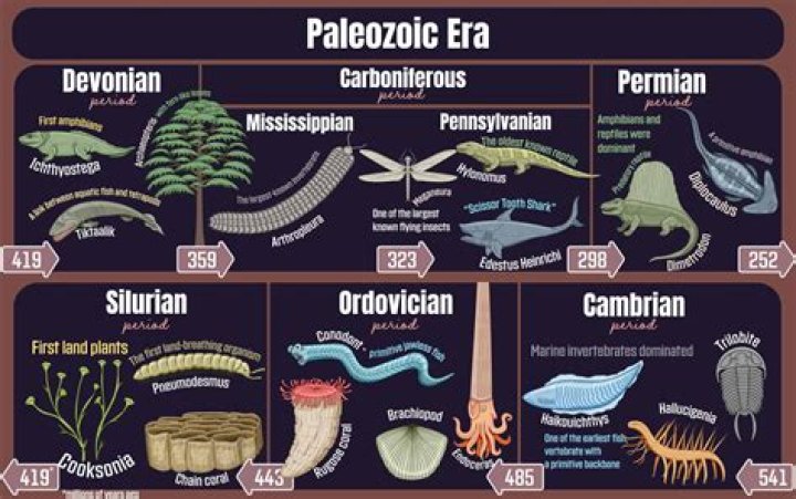 What is palaeozoic era?