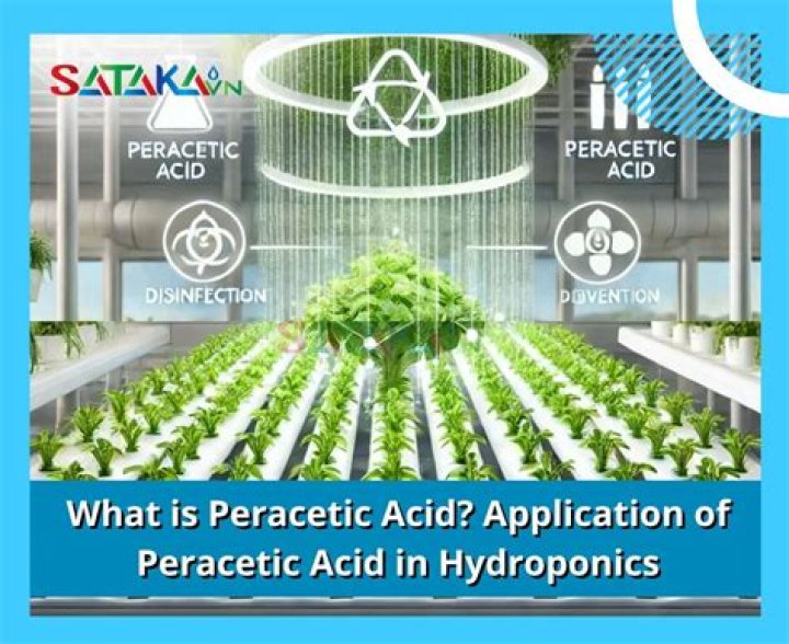 What is peracetic acid vapor?