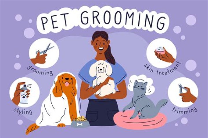 What is perpetrator behaviour and grooming?