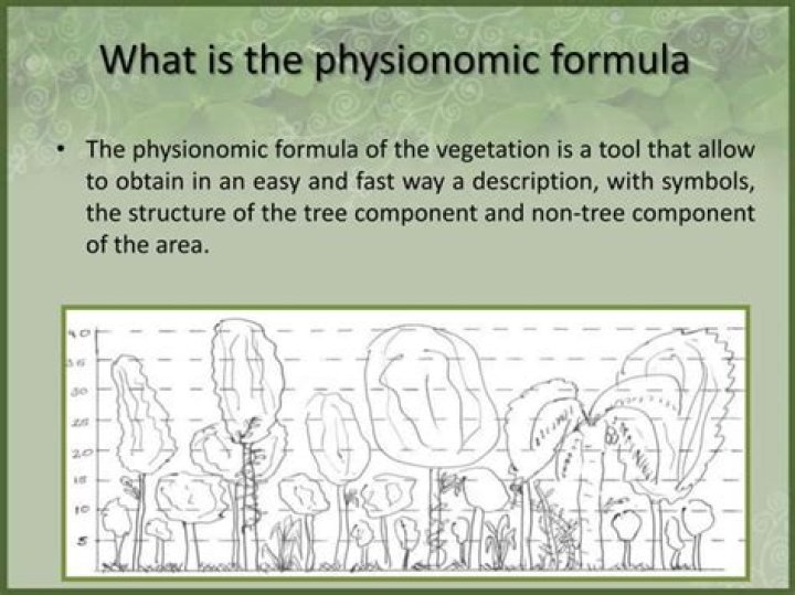 What is physiognomic approach?