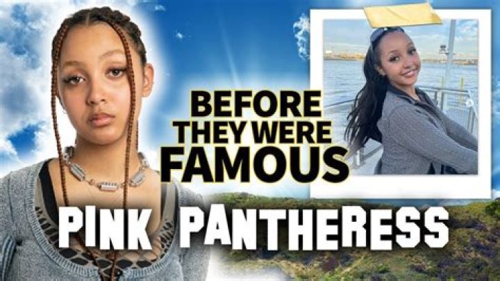 What is pink pantheress race?