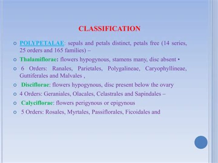 What is polypetalae and gamopetalae?