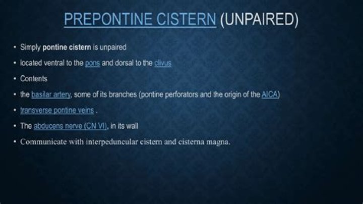 What is prepontine cistern?