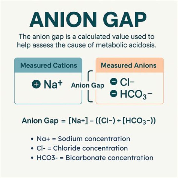 What is s-anion gap?