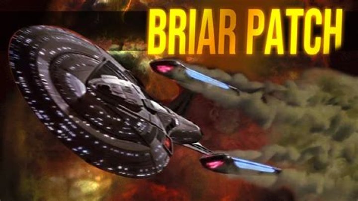 What is s briar patch?