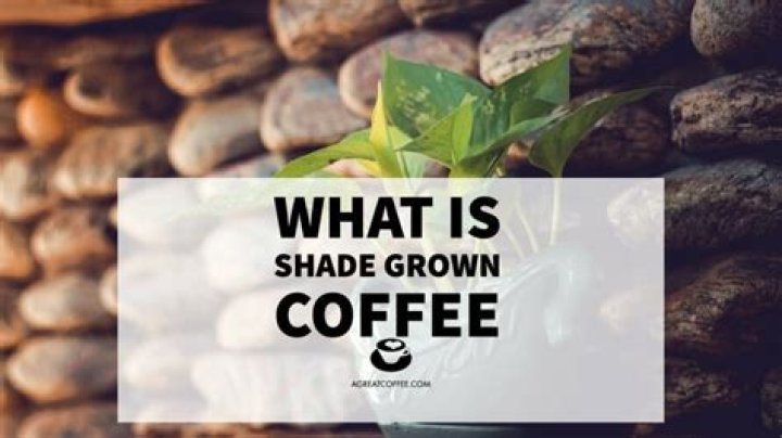 What is shade grown coffee?