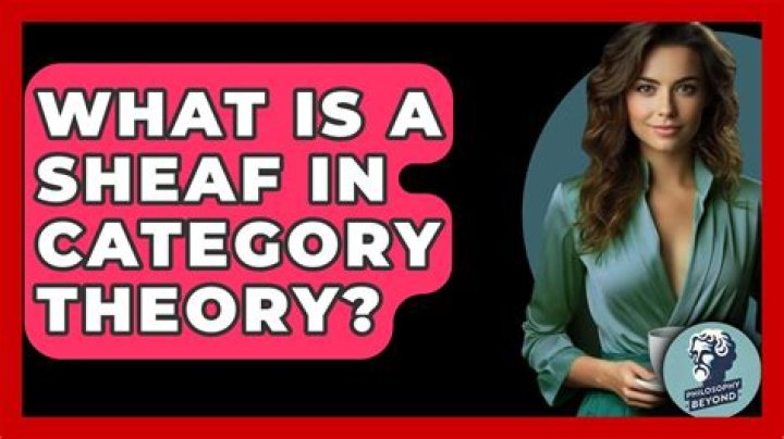 What is sheaf theory?
