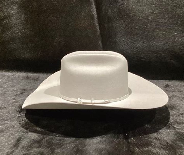 What is silverbelly hat?