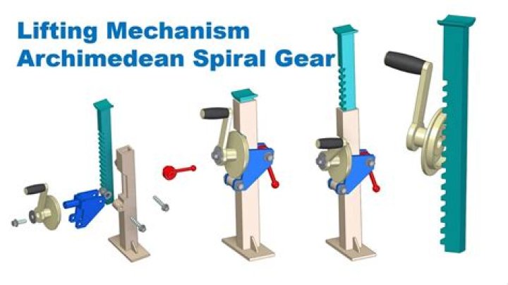 What is staminal lever mechanism?