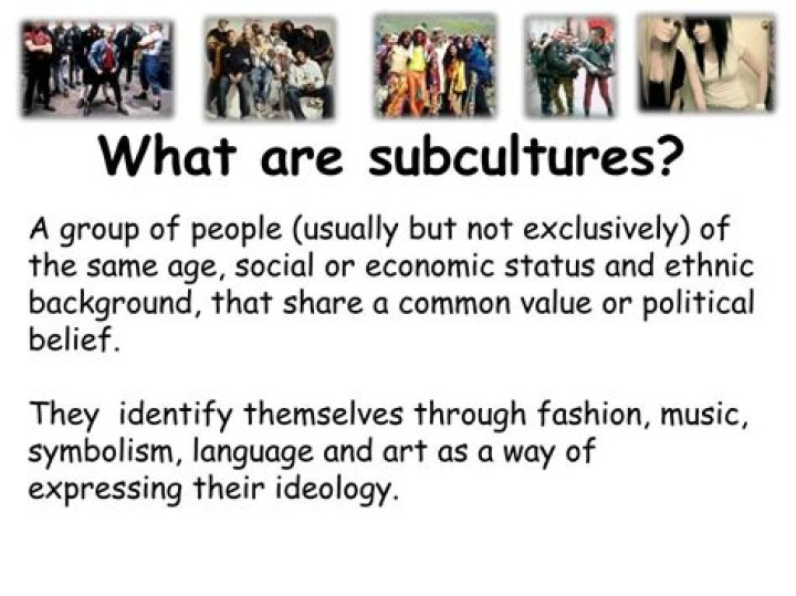 What is subculture in sociology?