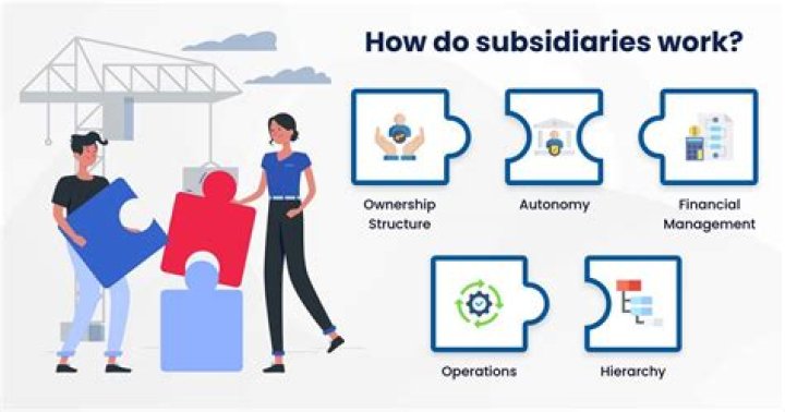 What is subsidiary sub?