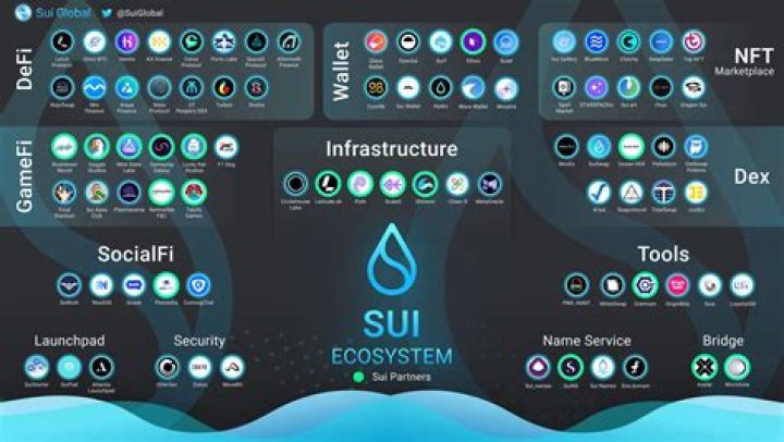 What is sui generis system?