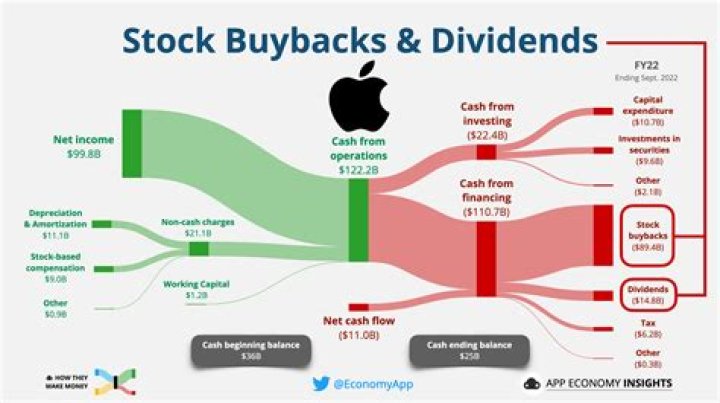 What is summerlands buyback?