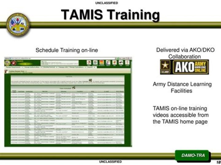 What is tamis army?