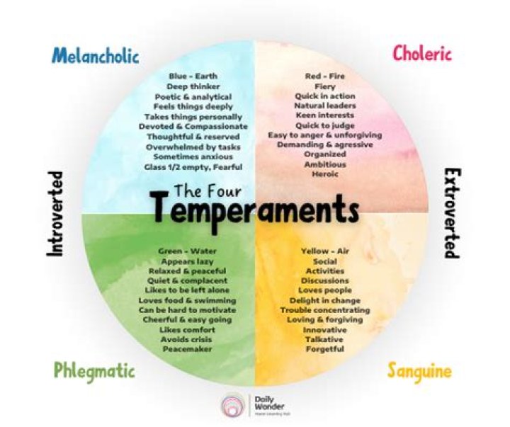 What is temperamental person?