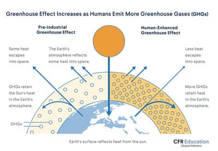 What is the chorusing effect?