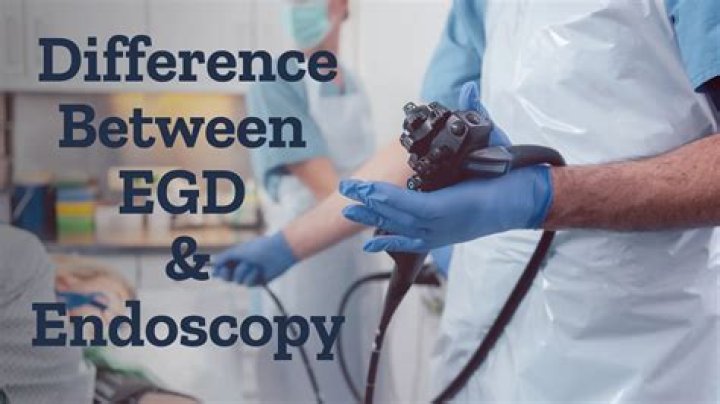 What is the difference between egd and push enteroscopy?