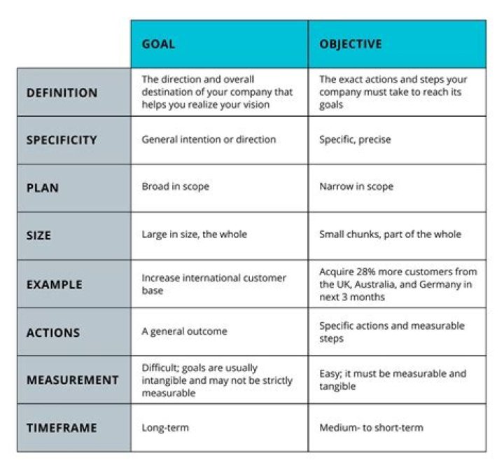 What is the difference between goals and objectives?