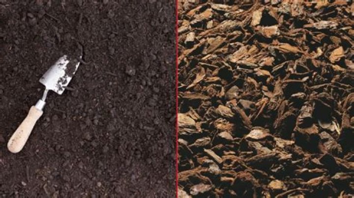 What is the difference between mulch and tanbark?