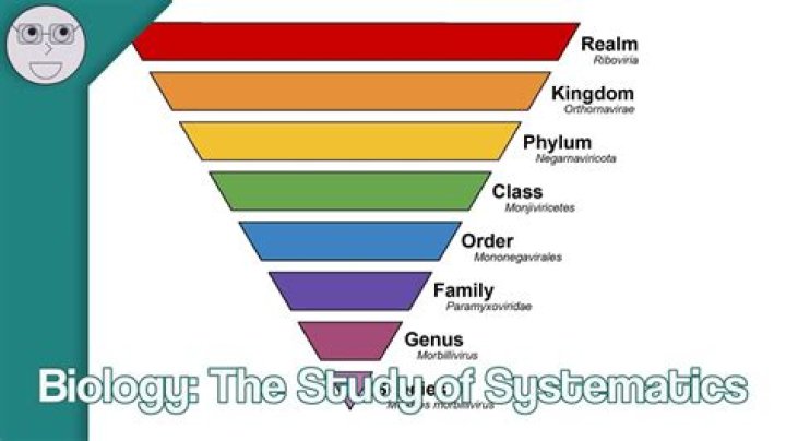 What is the main aim of the study of systematics?