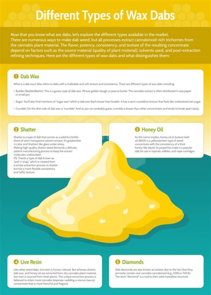 What is the meaning of cacuminal?