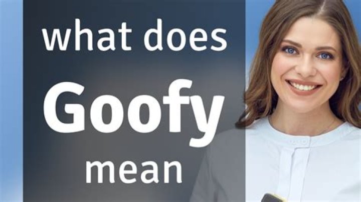 What is the meaning of goofy goober?